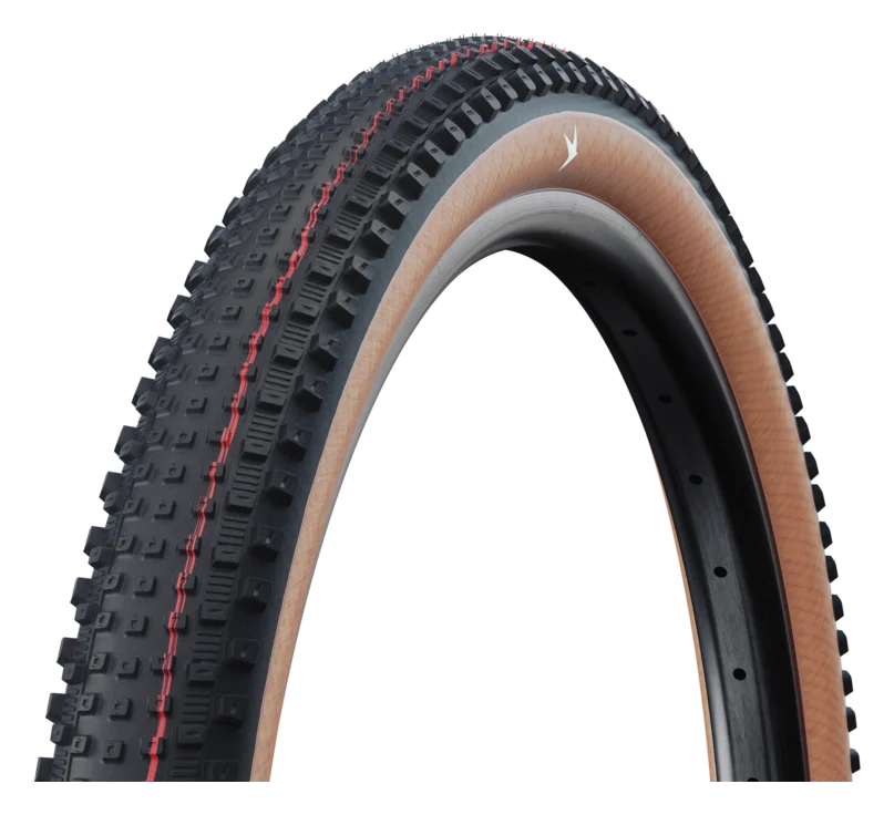 Schwalbe Rick
